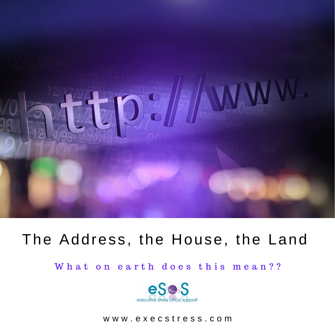 Image alt text: Illustration showcasing URL and domain name for website