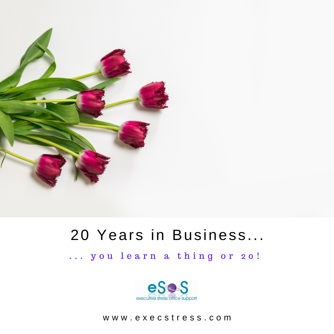 Celebrating 20 years of growth and learning. Insights, reflections, and success strategies at ExecStress.com